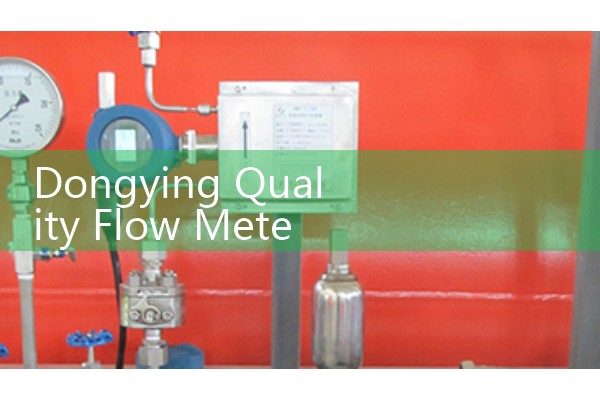 Dongying Quality Flow Meter Company